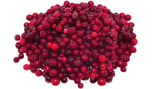 Клюква садовая (ТР) 41026 - фото 1297