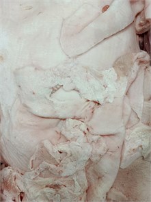 Жир-сырец пищевой свиной. Шпик боковой  замороженный (ТО) 35648